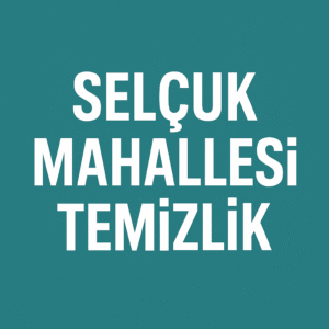 Selçuk Mahallesi Temizlik